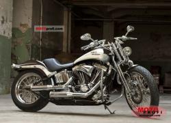 Harley-Davidson FXSTSI Softail Springer #13