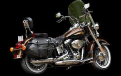 Harley-Davidson Heritage Softail Classic 110th Anniversary 2013 #9