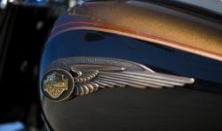 Harley-Davidson Heritage Softail Classic 110th Anniversary 2013 #11