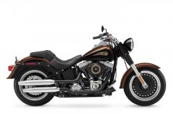 Harley-Davidson Heritage Softail Classic 110th Anniversary 2013 #3