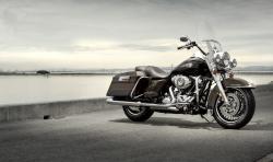 Harley-Davidson Road King 110th Anniversary #4