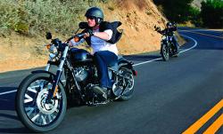 Harley-Davidson Softail Blackline Dark Custom #10