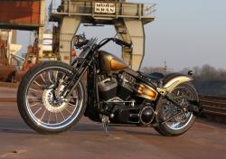 Harley-Davidson Softail Blackline Dark Custom #11