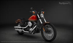 Harley-Davidson Softail Blackline Dark Custom 2013 #2
