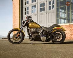 Harley-Davidson Softail Blackline Dark Custom #8