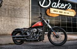 Harley-Davidson Softail Blackline Dark Custom #9