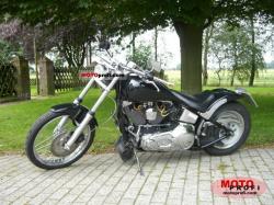 Harley-Davidson Softail Custom 1997 #5