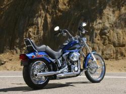 Harley-Davidson Softail Custom #8