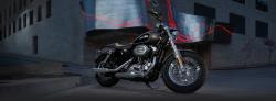 Harley-Davidson Sporster 1200 Custom 2014 #9