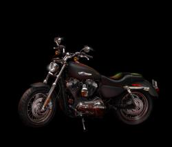 Harley-Davidson Sporster 1200 Custom 2014 #12