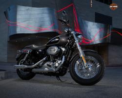 Harley-Davidson Sporster 1200 Custom 2014 #3