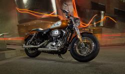Harley-Davidson Sporster 1200 Custom 2014 #8