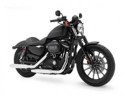 Harley-Davidson Sport #12