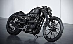 Harley-Davidson Sport #6
