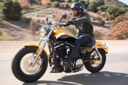 Harley-Davidson Sportster 1200 Custom #10