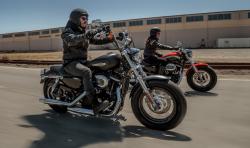 Harley-Davidson Sportster 1200 Custom #9