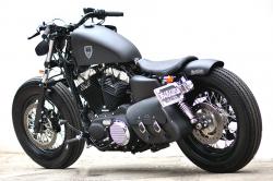 Harley-Davidson Sportster Forty-Eight Dark Custom 2014 #3