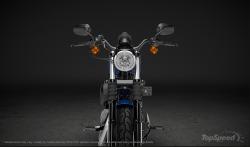Harley-Davidson Sportster Iron 833 2013 #14