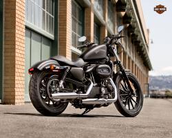 Harley-Davidson Sportster Iron 883 Dark Custom 2013