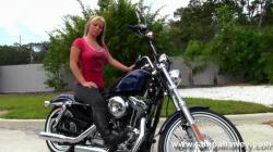 Harley-Davidson Sportster Seventy-Two #15