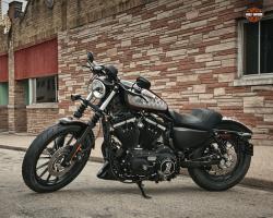 Harley-Davidson Sportster XL 883N Iron 883 2010 #7
