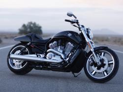 Harley-Davidson V-Rod Muscle #12