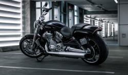 Harley-Davidson V-Rod Muscle 2013 #12