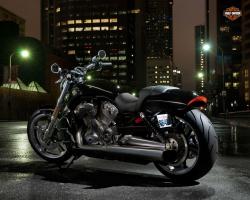 Harley-Davidson V-Rod Muscle #8