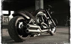 Harley-Davidson VRSCD Night Rod #7