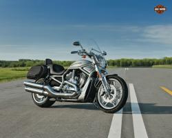 Harley-Davidson VRSCDX V-Rod 10th Anniversary #6