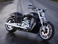 Harley-Davidson VRSCF V-Rod Muscle 2009