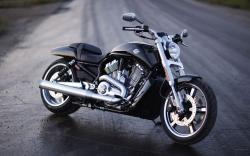 Harley-Davidson VRSCF V-Rod Muscle 2010 #8