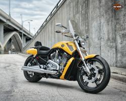 Harley-Davidson VRSCF V-Rod Muscle 2011 #9