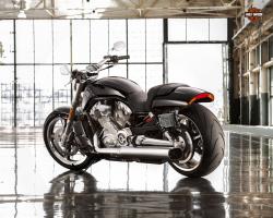 Harley-Davidson VRSCF V-Rod Muscle #8