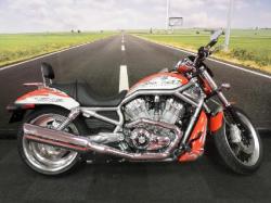 Harley-Davidson VRSCX 2007 #13