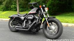 Harley-Davidson XL 1200X Sportster Forty-Eight 2010 #3