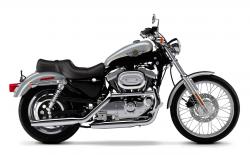 Harley-Davidson XL1200C Sportster 1200 Custom 2003 #2