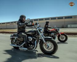 Harley-Davidson XL1200C Sportster 1200 Custom 2012 #8