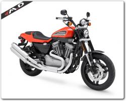 Harley-Davidson XL1200L Sportster 1200 Low 2011 #13