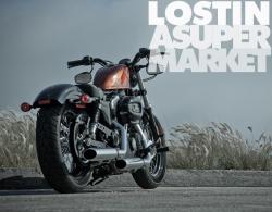 Harley-Davidson XL1200X Springer Forty-Eight 2012 #8