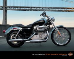 Harley-Davidson XL883C Sportster Custom #10