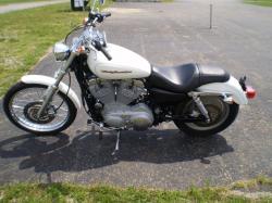 Harley-Davidson XL883C Sportster Custom #8