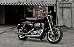 Harley-Davidson XL883L Sportster Low #14