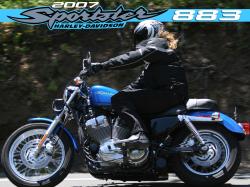 Harley-Davidson XLH Sportster 883 Standard (reduced effect) #8