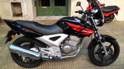 Honda CBX 250 Twister #2