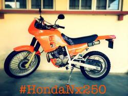 Honda NX250 1993 #12