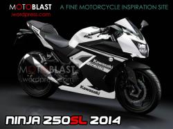 Kawasaki Ninja 250R 2014 #4