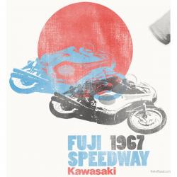 Kawasaki Speedway #13