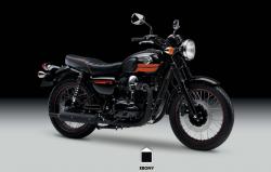 Kawasaki W800 Chrome Edition #10