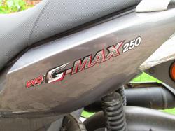 PGO G-MAX 250 LQ #6